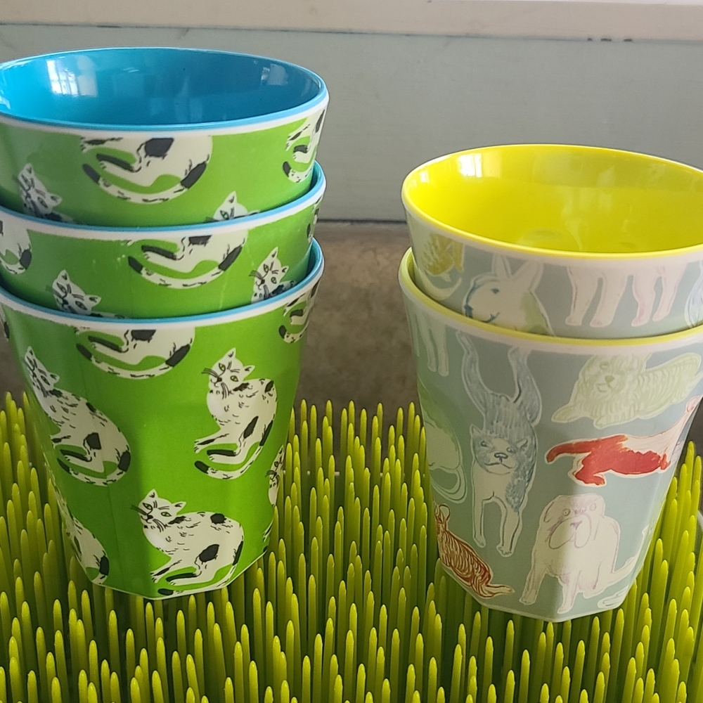 Anthropologie cup tumbler set